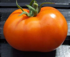 Семена сорта томата Arthur Fowler (Артур Фоулер) - Гиганты желтые и оранжевые