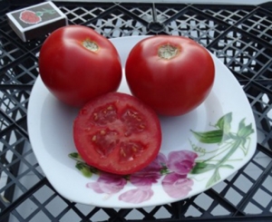 Семена томата сорта Атлант - Высокорослые округлые и плоско-округлые