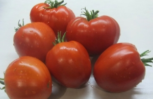 Семена томата сорта Барский - Гиганты сердцевидные