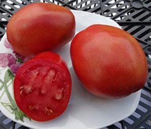 Семена сорта томата Bisignano Paste (Бисиньяно Пэйст) - Высокорослые сливовидно-овальные