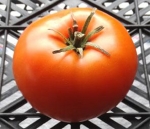 . Brandywine Yellow Platfut (Брендивайн Желтый Плэтфут) 