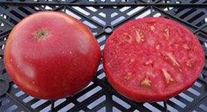 Семена томата сорта Brandywine Joyce's Strain (Брэндивайн линия Джойса) - Гиганты розовые