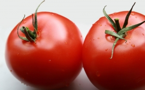 Семена сорта томата Везунчик - Низкорослые кустовые сверхранние