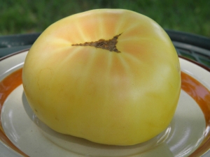 Семена томата сорта Винсент белый (Vincent’s White) - Белые томаты