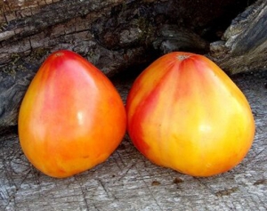 Семена томата сорта Владимирские купола - Гиганты сердцевидные