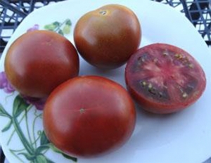 Семена томата сорта Bundaberg Rumball Dwarf (Гном Бандаберг Рамбол) - Гномы