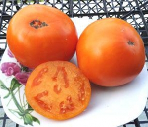 Семена сорта томата Orange Pride Dwarf (Гном Оранжевая Гордость) - Гномы