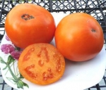 . Orange Pride Dwarf (Гном Оранжевая Гордость)