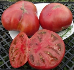 Семена сорта томата Розелла Пурпле (Rosella Purple) - Гномы