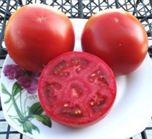 Семена томата сорта Frazier’s Gem Dwarf (Гном Самоцвет Фрэйзера) - Гномы