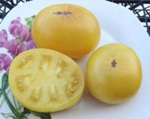 Семена сорта томата Barossa Fest Dwarf (Гном Фестиваль Баросса) - Гномы