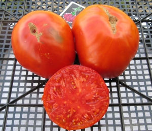 Семена томата сорта Гордость Сибири - Гиганты красные