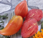 . Гребешки красные