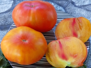 Семена томата сорта Гребешки медовые - Гиганты двуцветные