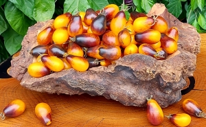 Семена томата сорта Indigo pear drops (Грушевидные капли индиго) - Высокорослые «черри» (балконные томаты)