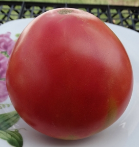 Семена томата сорта Девичье сердце - Гиганты сердцевидные