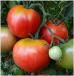 . Добрая сказка 