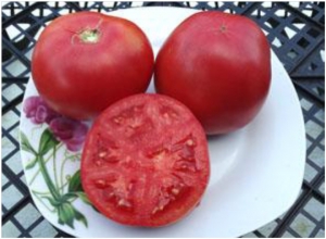 Семена томата сорта Добрая сказка - Среднерослые