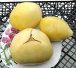 . Eva’s Yellow Heart (Желтое сердце Евы) 