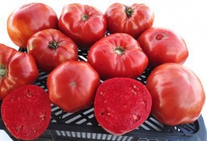 Семена томата сорта Замок Шартр - Супер-гиганты
