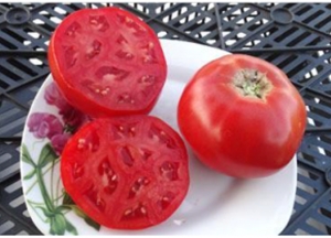 Семена томата сорта Звезда Востока - Низкорослые кустовые