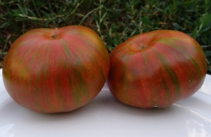 Семена сорта томата Green Target (Зеленая Мишень) - Гномы