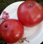 . Иранское чудо