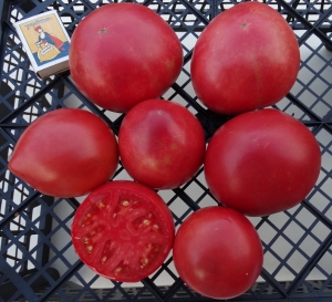 Семена томата сорта Каменное сердце - Гиганты сердцевидные