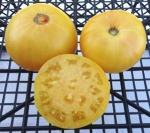 . Kentucky Cabin (Кентукки Хижина) 