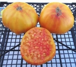 . Red Belly (Красный живот) 