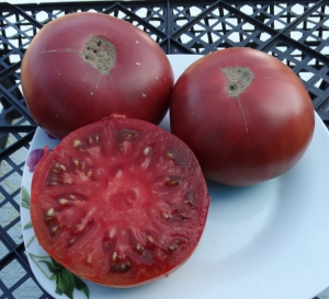 Семена томата сорта Кубанский черный - Шоколадные