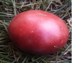 . Лазурный гигант (Azure Giant)