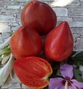 Семена томата сорта Landshuter Riese (Ландхутский великан) - Гиганты сердцевидные