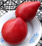 . Lithuanian Crested Pink (Литовский гребень розовый, Литовский хохлатый розовый)