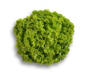 Семена салата сорта Лолло Бионда