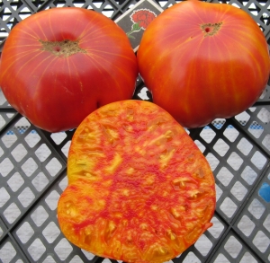 Семена сорта томата Мамонт немецкий золотой (Mammoth German Gold) - Гиганты двуцветные