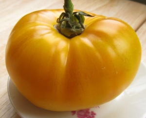 Семена томата сорта Martha Logan (Марта Логан) - Гиганты двуцветные