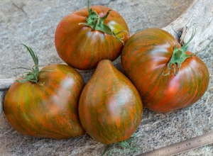 Семена сорта томата Marsha's Starfighter Heart (Маршас Старфайтер Сердце) - Полосатые