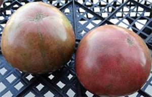 Семена томата сорта Dana’s Dusky Rose (Мглистая роза Дэна) - Шоколадные