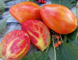 Семена сорта томата Медовый гребень - Высокорослые сливовидно-овальные