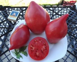 Семена томата сорта Минусинские стаканы розовые - Сливовидно-овальные