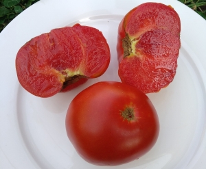 Семена томата сорта Минусинский сахарный - Гиганты красные