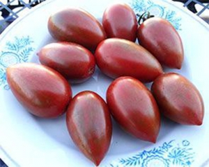 Семена сорта томата Монисто шоколадное - Высокорослые черри, балконные томаты