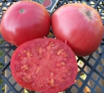 . Strawberry German Pink (Земляника немецкая розовая)