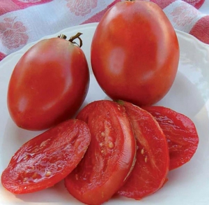 Семена сорта томата Salvaterra's Select (Отборный Помидор Сальватерры, Выбор Сальватерра, Сальватерра Селект) - Высокорослые сливовидно-овальные