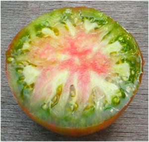 Семена сорта томата Bunte Pflaume (Пестрая слива) -Полосатые