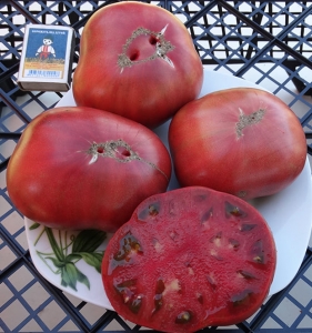 Семена томата сорта  Полночь в Москве (Midnight in Moskow) - Среднерослые