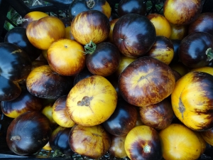 Семена томата сорта Полосы былого (Srtipes of Yore) - Синие