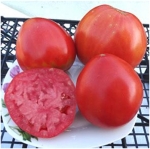 . Kukla’s Portuguese Heart (Португальское сердце Куклы)