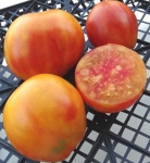 . Прозорливый колдун 